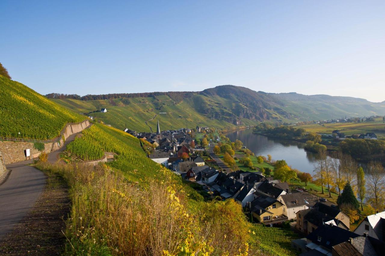 Gaestehaus C.H.Berres Uerzig-Mosel エクステリア 写真
