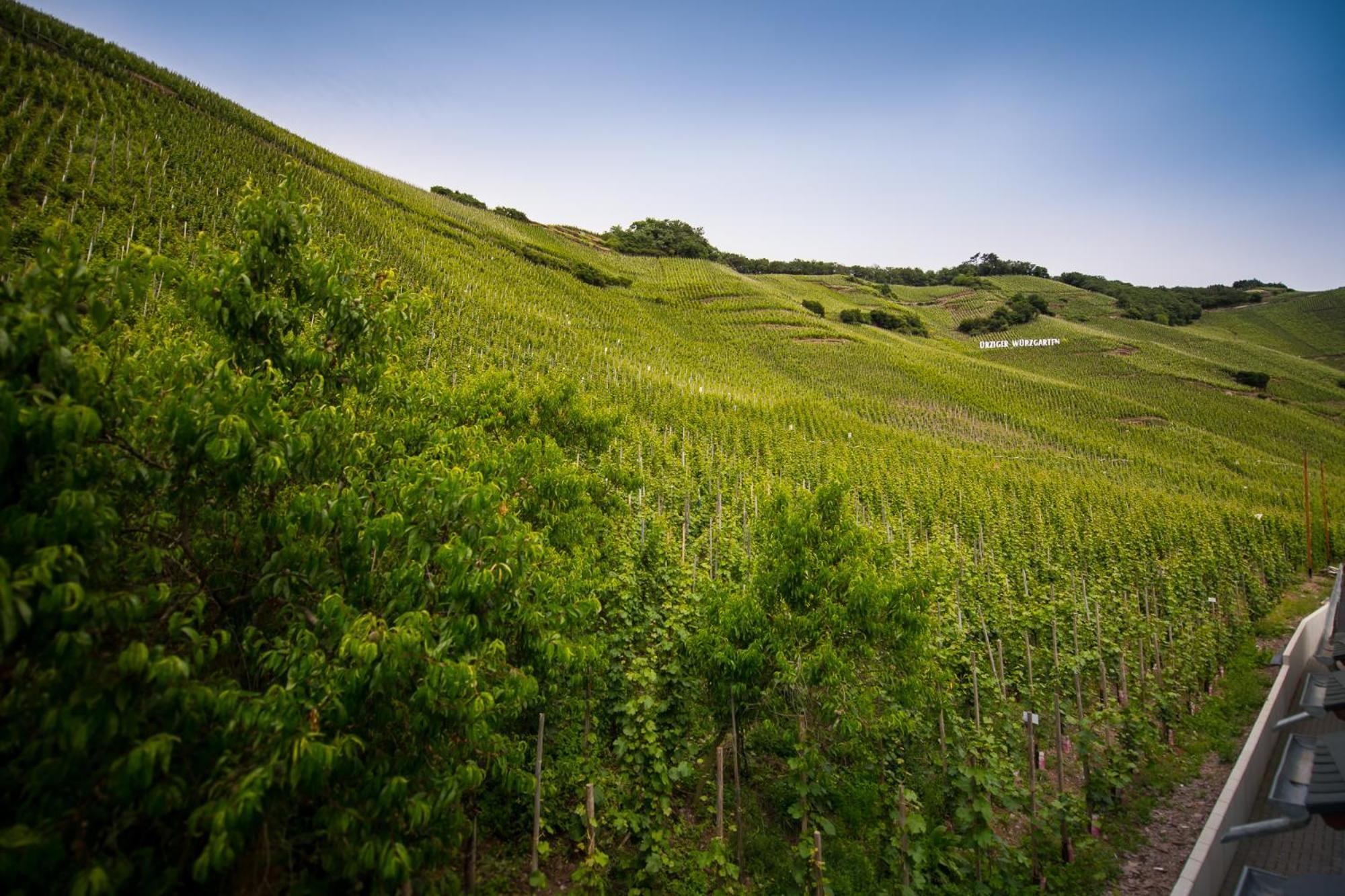 Gaestehaus C.H.Berres Uerzig-Mosel 部屋 写真