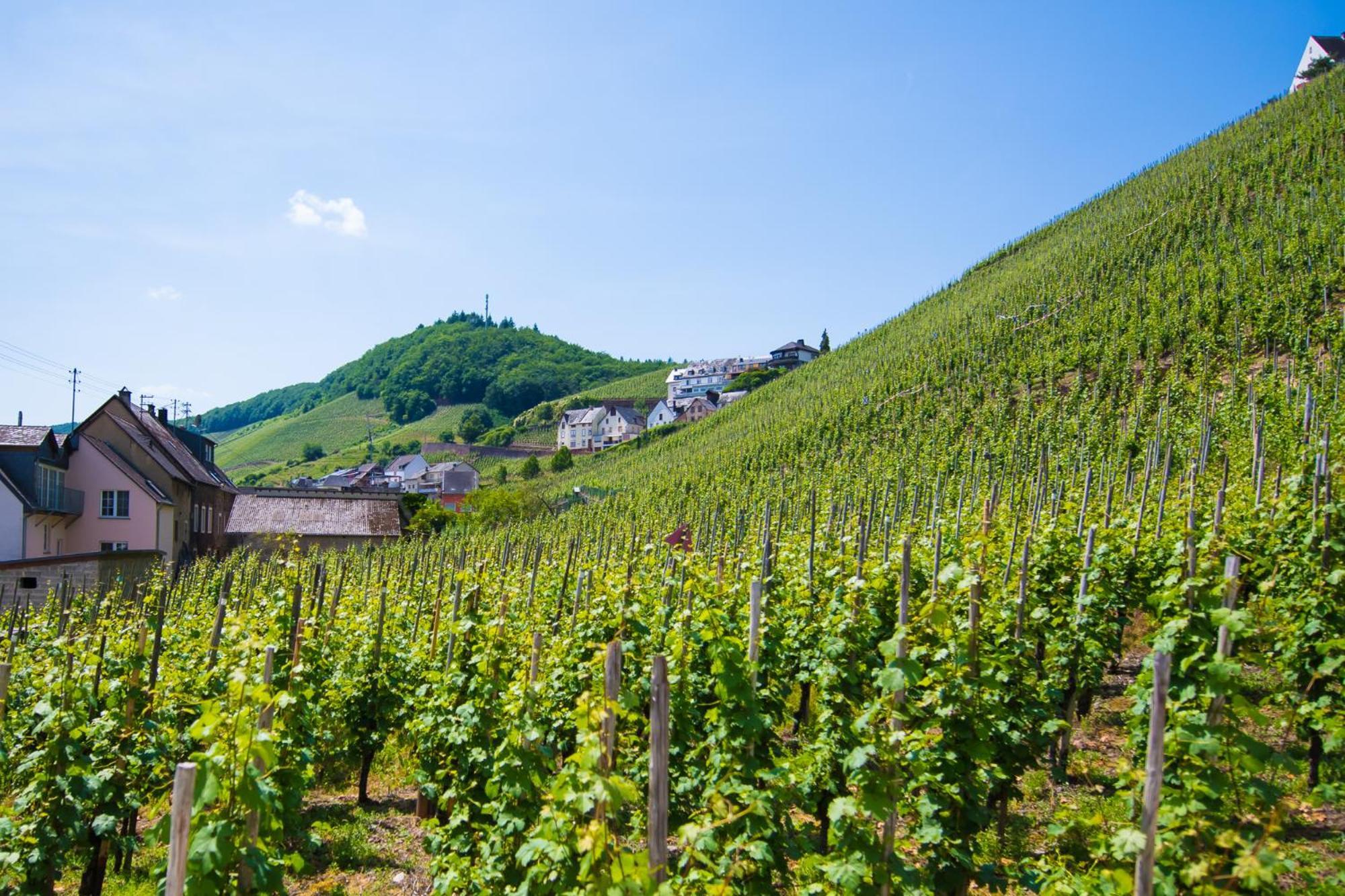 Gaestehaus C.H.Berres Uerzig-Mosel 部屋 写真